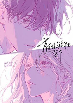 就让骄阳落下