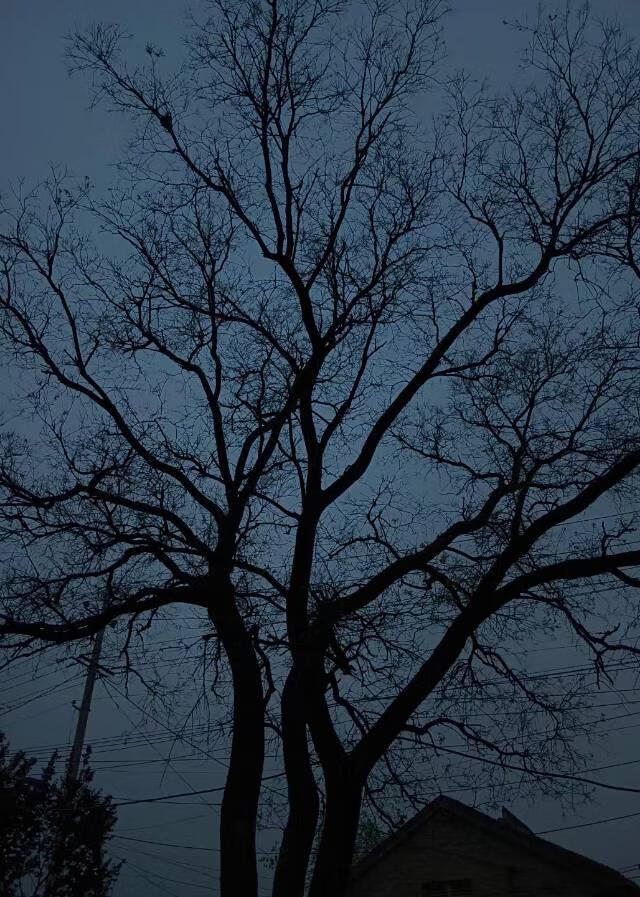 旧时代自救计划