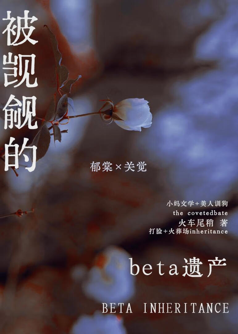 被争夺的beta遗产