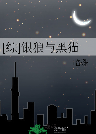 [综]银狼与黑猫