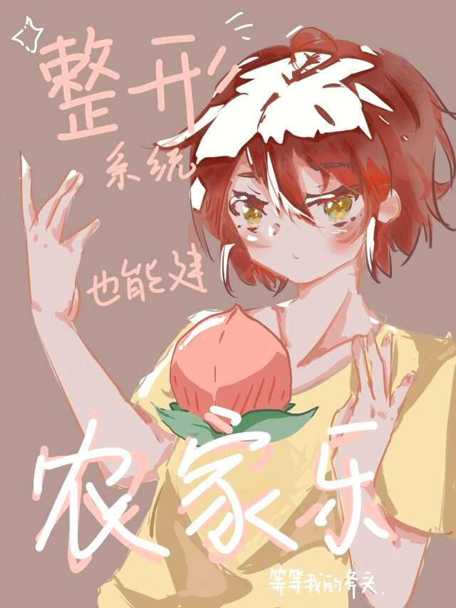 整形系统也能建农家乐