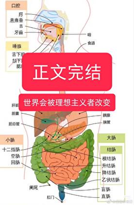 我的消化系统