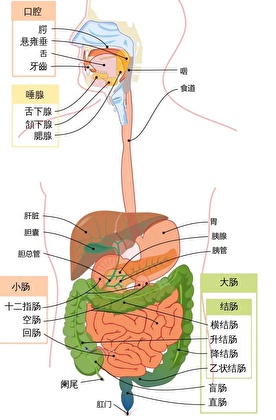原来我不是精神病