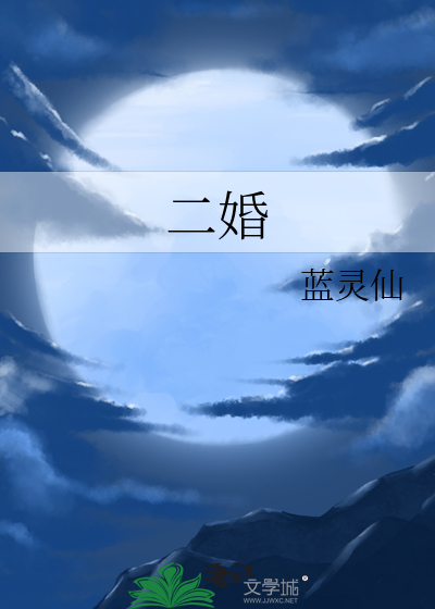 二婚