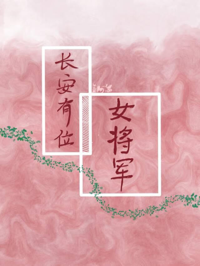 长安有位女将军