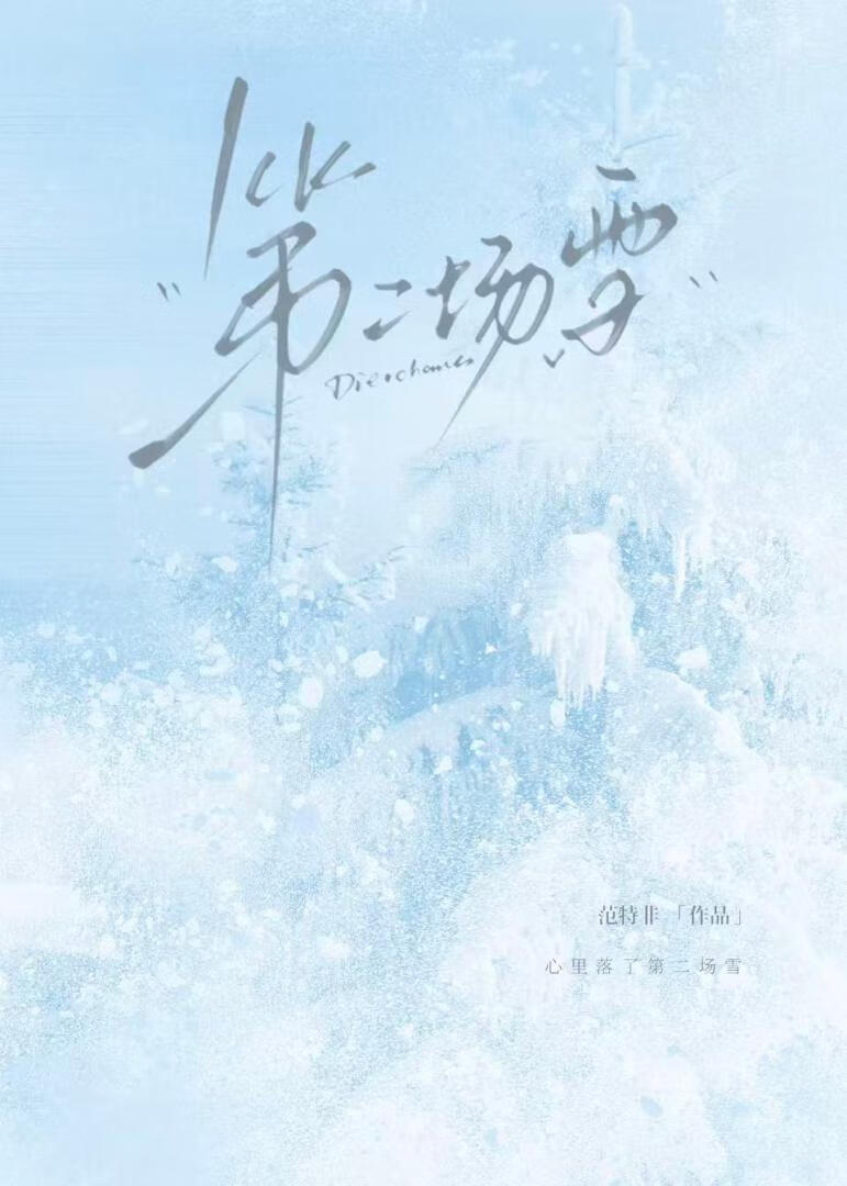 第二场雪