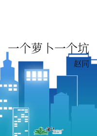 一个萝卜一个坑