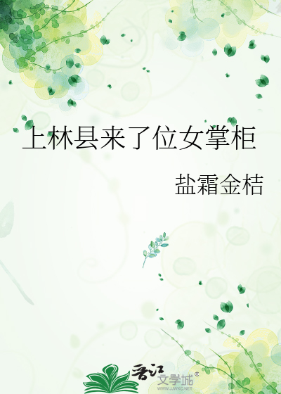 上林县来了位女掌柜