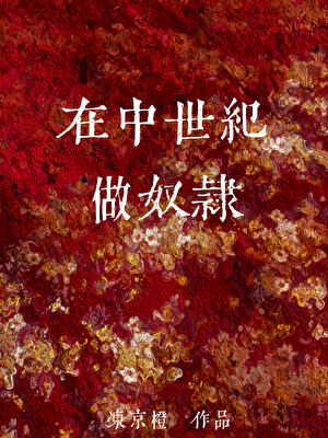 在中世纪做奴隶
