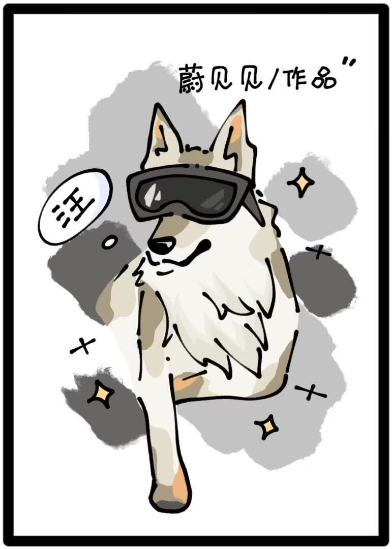 被坏狗盯上了