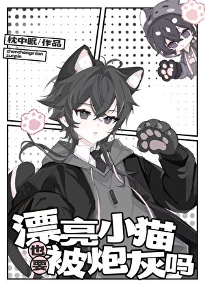 漂亮小猫也要当炮灰吗