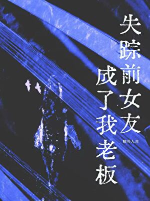 失踪前女友成了我老板