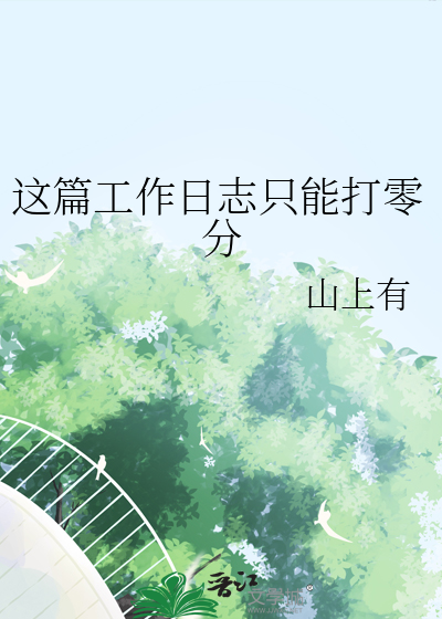 这篇工作日志只能打零分