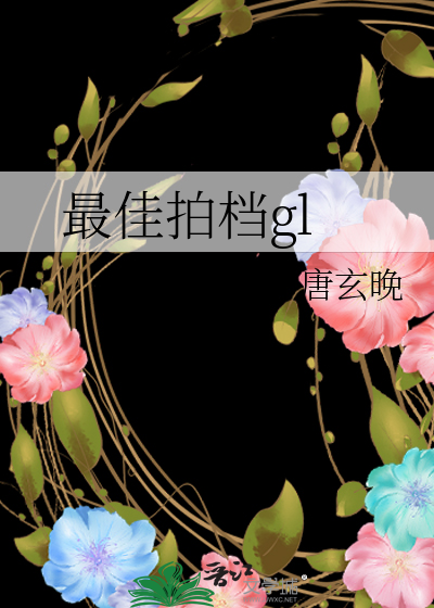 最佳拍档gl