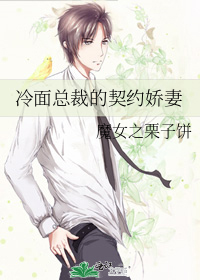 冷面总裁的契约娇妻