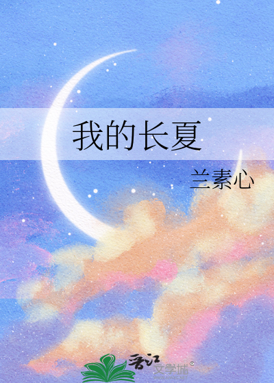 我的长夏
