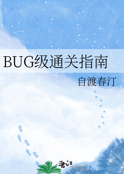 BUG级通关指南