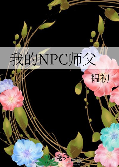 我的NPC师父